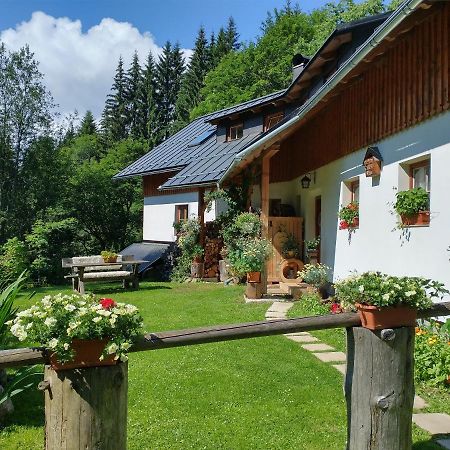 Apartmán Alm-House Hollmann Železná Ruda Exteriér fotografie