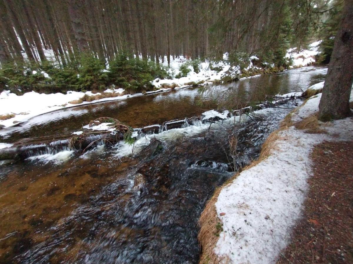 Apartmán Alm-House Hollmann Železná Ruda Exteriér fotografie
