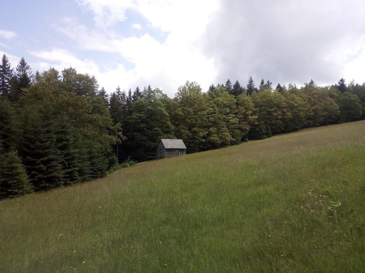 Apartmán Alm-House Hollmann Železná Ruda Exteriér fotografie