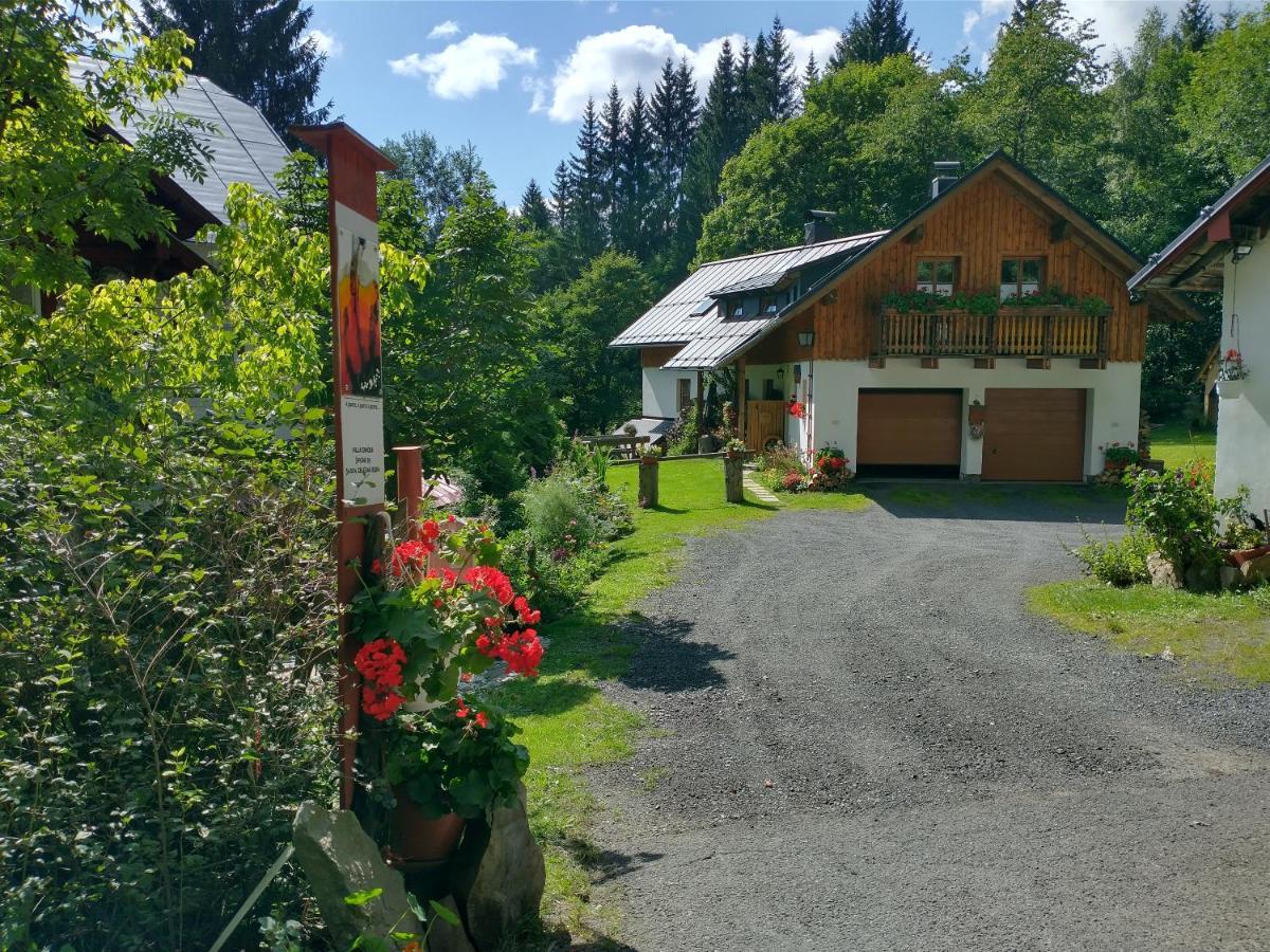 Apartmán Alm-House Hollmann Železná Ruda Exteriér fotografie