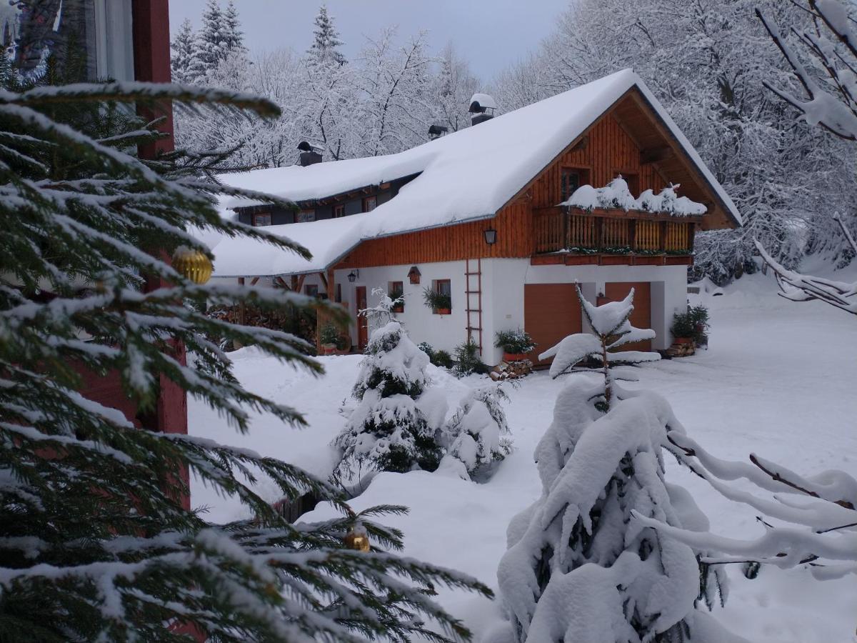 Apartmán Alm-House Hollmann Železná Ruda Exteriér fotografie