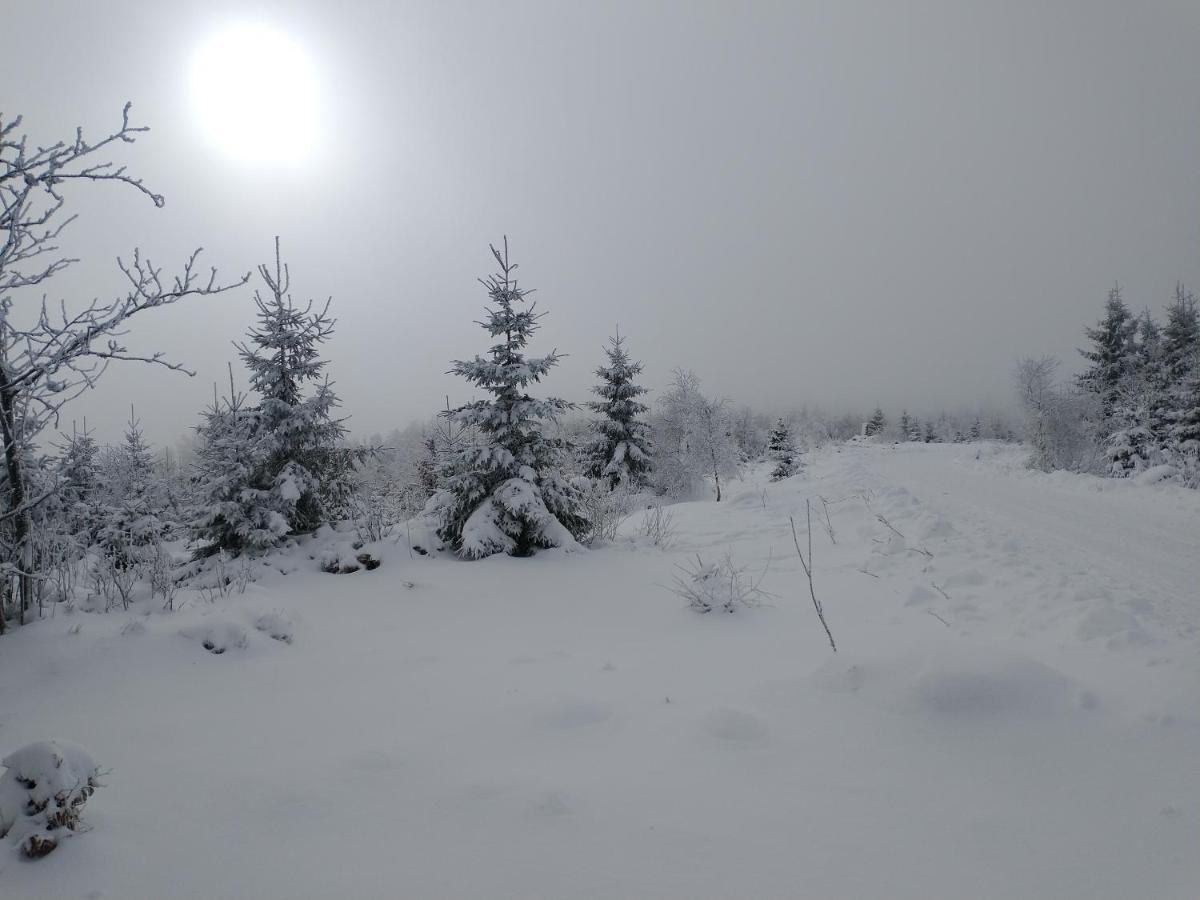 Apartmán Alm-House Hollmann Železná Ruda Exteriér fotografie