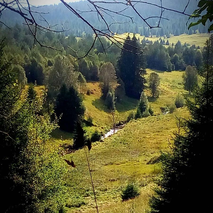 Apartmán Alm-House Hollmann Železná Ruda Exteriér fotografie