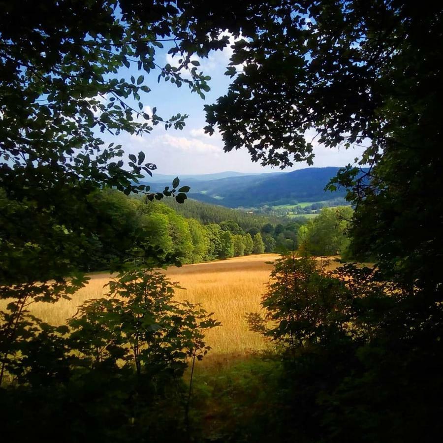Apartmán Alm-House Hollmann Železná Ruda Exteriér fotografie