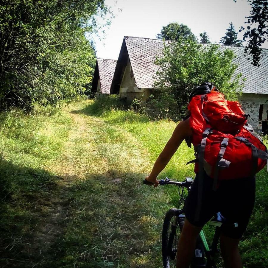 Apartmán Alm-House Hollmann Železná Ruda Exteriér fotografie