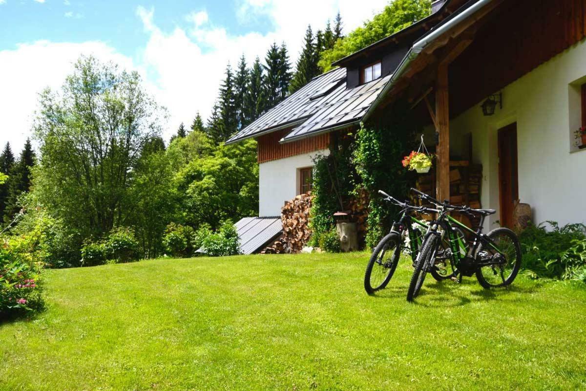 Apartmán Alm-House Hollmann Železná Ruda Exteriér fotografie
